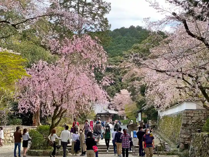 園城寺(三井寺)の景色