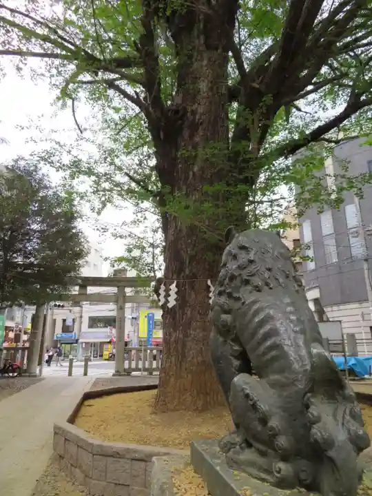 鳩森八幡神社の狛犬