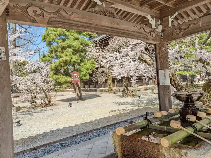 知恩院(京都府)