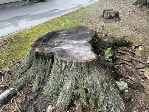旭野神社(滋賀県)