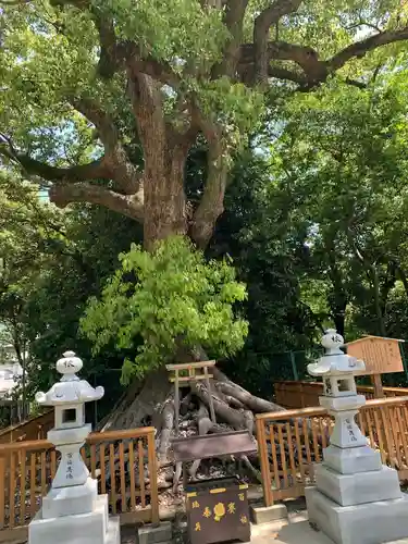 和泉國一之宮　大鳥大社(大阪府)