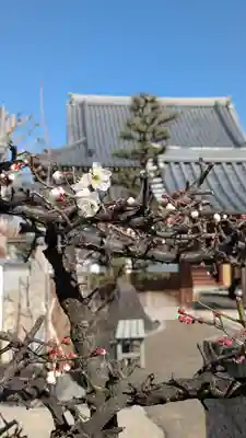 大松禅寺(京都府)