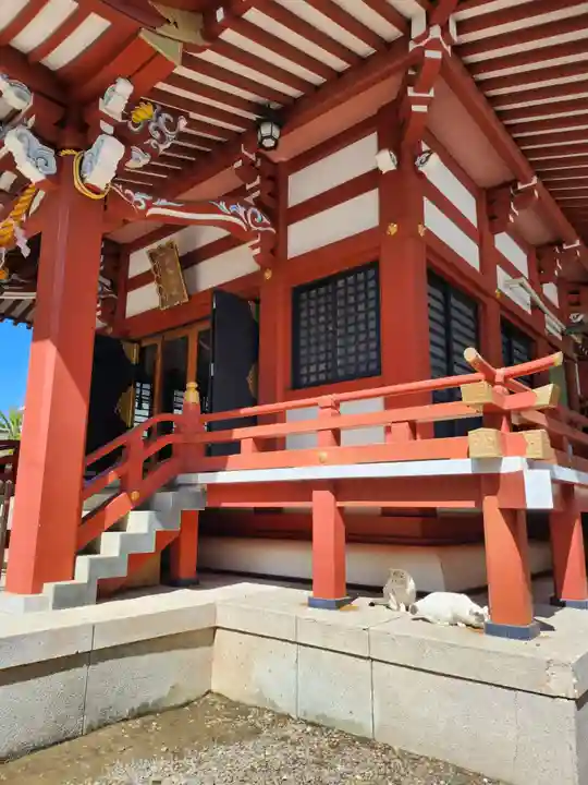 柏諏訪神社(千葉県)