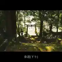 八幡宮の鳥居