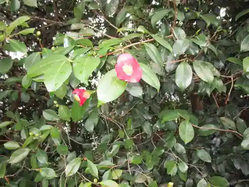 城南宮(京都府)