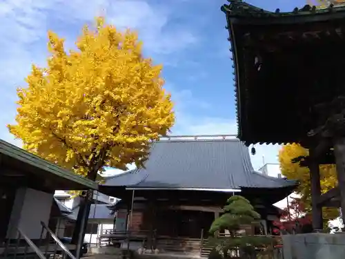 長慶寺(福井県)