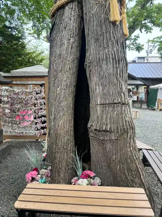 札幌諏訪神社の自然