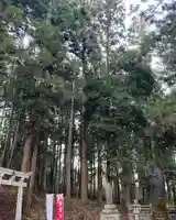 大宮温泉神社のその他建物