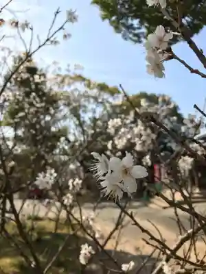 草木八幡神社(福岡県)