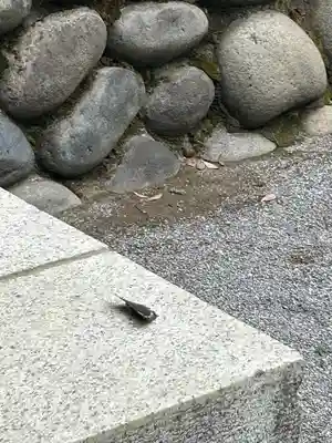 雀神社(茨城県)