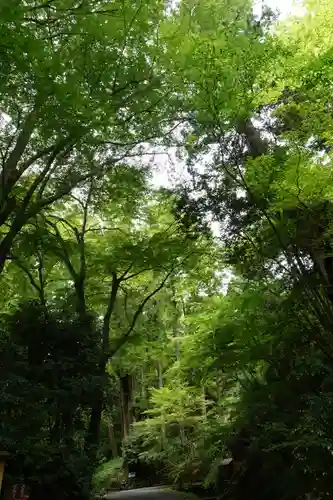 石山寺の自然