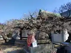 北野天満宮の狛犬