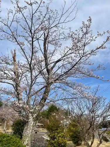 大生郷天満宮の自然