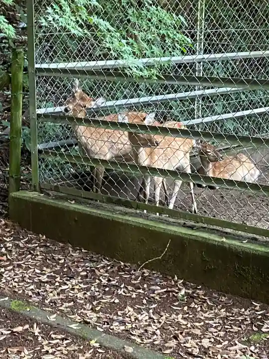 鹿島神宮(茨城県)