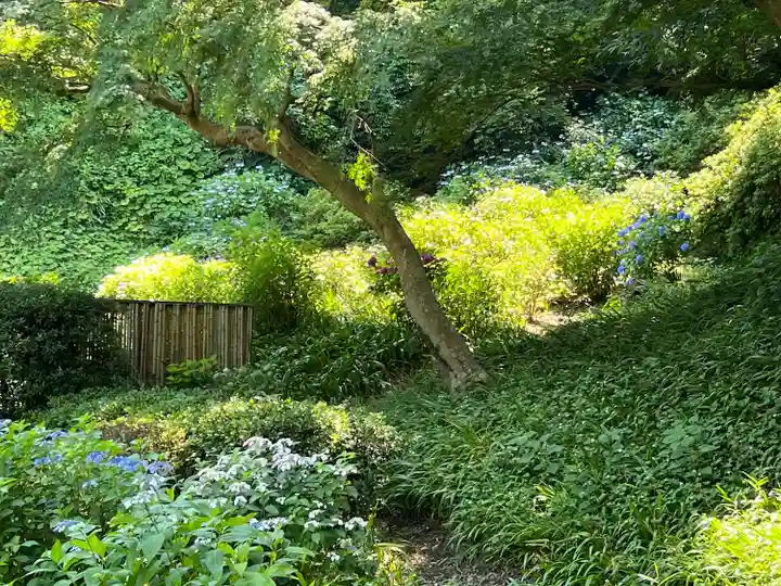 長壽寺(長寿寺)(神奈川県)