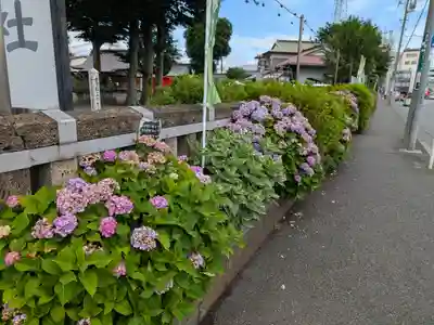 相模原氷川神社(神奈川県)