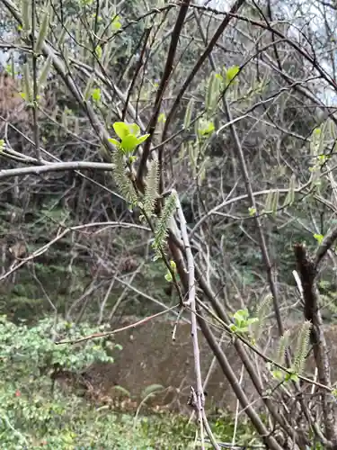 尾張冨士大宮浅間神社(愛知県)