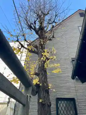 亀住稲荷神社の{uncategorized: "未分類", other: "その他", undefined: "問題あり", building: "その他建物", grave: "お墓", sacred_gate: "鳥居", guardian: "狛犬", statue: "像", buddha: "仏像", history: "歴史", nature: "自然", garden: "庭園", animal: "動物", pagoda: "塔", temizu: "手水舎", mountain_gate: "山門・神門", sanctuary: "本殿・本堂", subordinate: "末社・摂社", art: "芸術", scenery: "景色", jizo: "地蔵", ema: "絵馬", goshuin: "御朱印", omikuji: "おみくじ", items: "授与品その他", amulet: "お守り", goshuincho: "御朱印帳", eats: "食事", festival: "お祭り", votive_dance: "神楽", shichigosan: "七五三参", wedding: "結婚式", experience: "体験その他", initially: "初詣", around: "周辺", anti_infection: "感染症対策"}