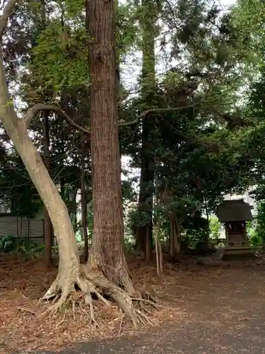 鹿島神社(茨城県)