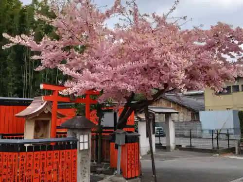 車折神社の{uncategorized: "未分類", other: "その他", undefined: "問題あり", building: "その他建物", grave: "お墓", sacred_gate: "鳥居", guardian: "狛犬", statue: "像", buddha: "仏像", history: "歴史", nature: "自然", garden: "庭園", animal: "動物", pagoda: "塔", temizu: "手水舎", mountain_gate: "山門・神門", sanctuary: "本殿・本堂", subordinate: "末社・摂社", art: "芸術", scenery: "景色", jizo: "地蔵", ema: "絵馬", goshuin: "御朱印", omikuji: "おみくじ", items: "授与品その他", amulet: "お守り", goshuincho: "御朱印帳", eats: "食事", festival: "お祭り", votive_dance: "神楽", shichigosan: "七五三参", wedding: "結婚式", experience: "体験その他", initially: "初詣", around: "周辺", anti_infection: "感染症対策"}