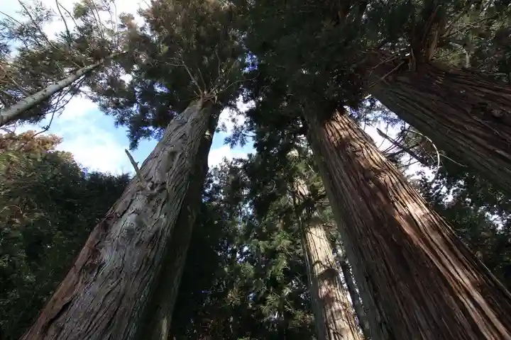 鹿島大神宮の自然