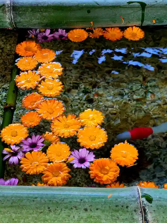橘神社の手水舎