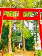 神谷稲荷神社の鳥居