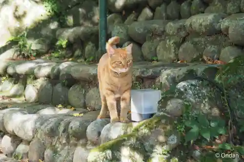 笠置寺(京都府)