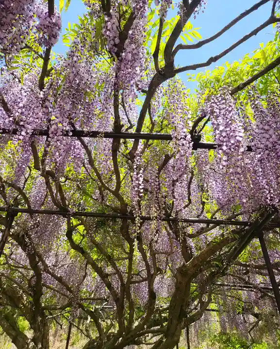 天台宗 五大山 白毫寺(兵庫県)