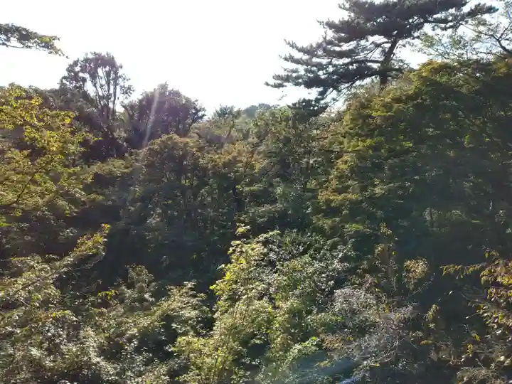 明王院(満願寺別院)の自然
