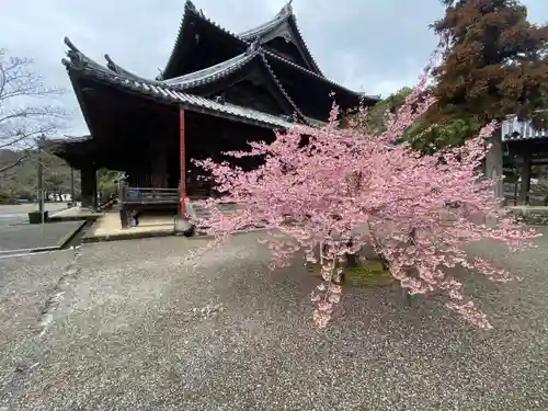 粉河寺(和歌山県)