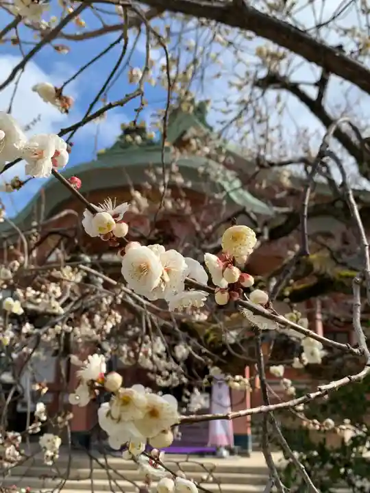 北野天満宮(京都府)