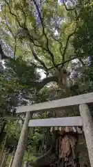 松阪神社(三重県)