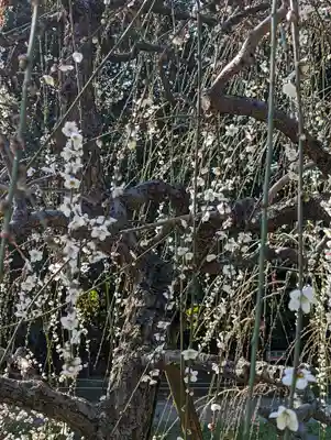 城南宮(京都府)