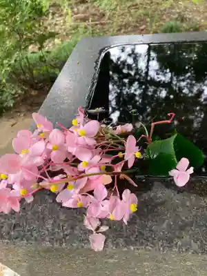 藏皇神社(福島県)
