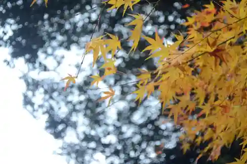 近江神宮(滋賀県)