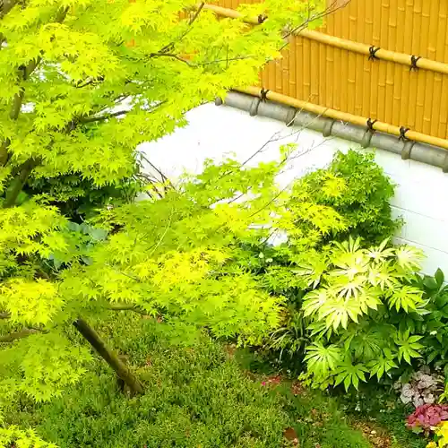 寿量山　速成寺の自然