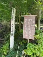 天津神明宮(千葉県)