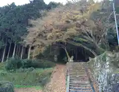 熊野神社の建物その他