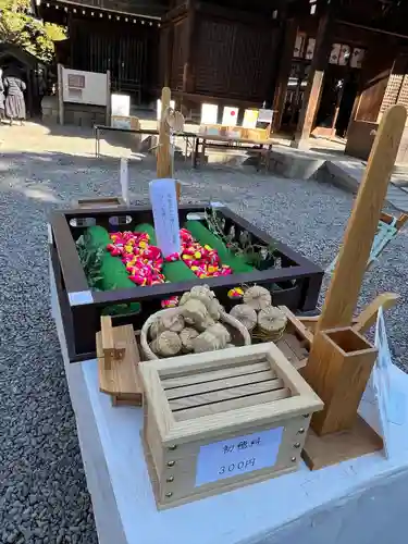 川越氷川神社(埼玉県)
