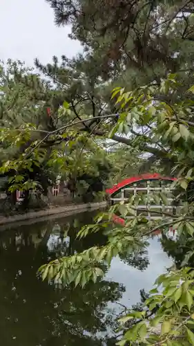 住吉大社の自然