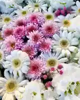 鹿島台神社の自然