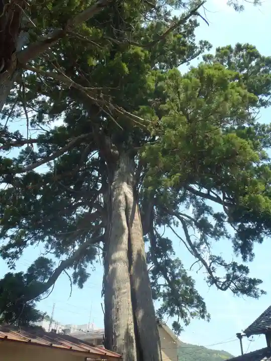 大日堂(愛知県)
