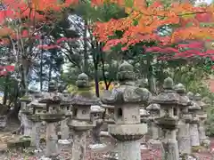 圓教寺の建物その他