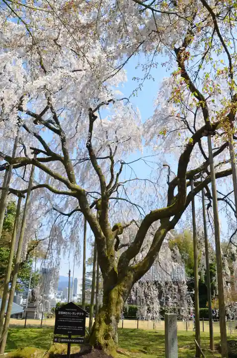 足羽神社(福井県)