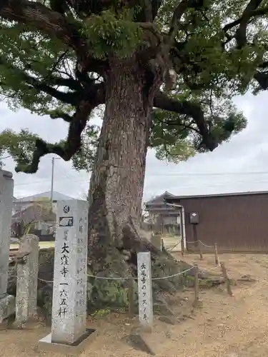 長尾寺(香川県)