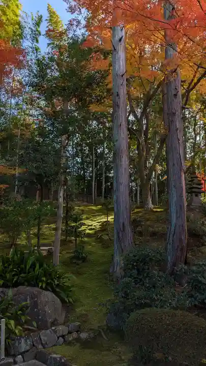 榮攝院(栄摂院)(京都府)
