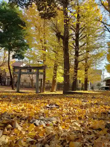 愛宕神社の自然