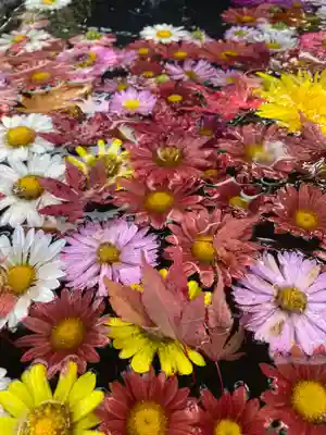 大鏑神社の手水舎