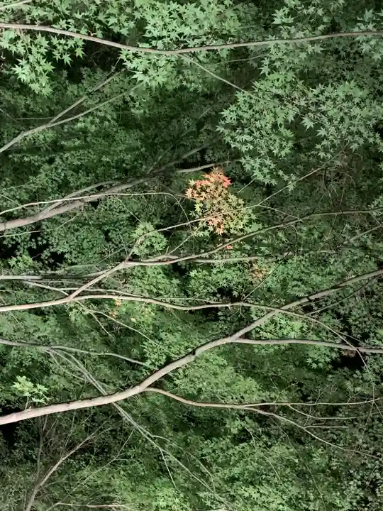 円通寺(栃木県)
